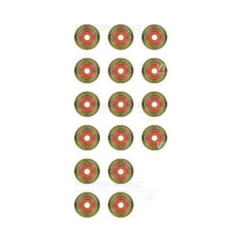 VICTOR REINZ Dichtungssatz, Ventilschaft 12-35172-01