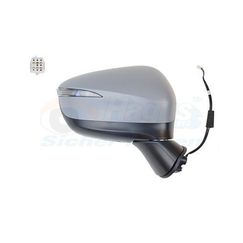 VAN WEZEL Au&szlig;enspiegel * HAGUS *