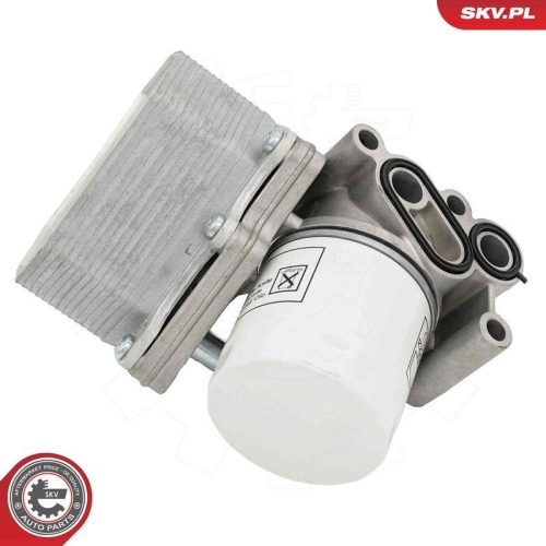 ESEN SKV &Ouml;lk&uuml;hler, Motor&ouml;l 31SKV338