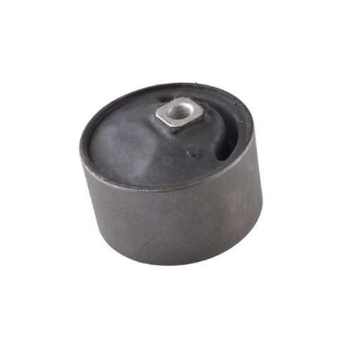 TEDGUM Lagerung, Motor