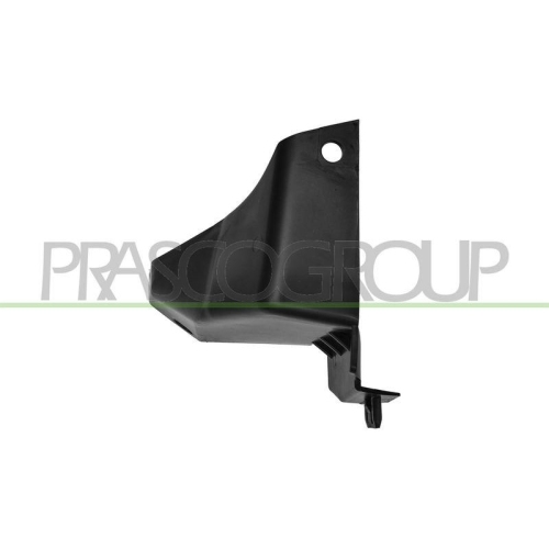 PRASCO Spoiler FD3462401