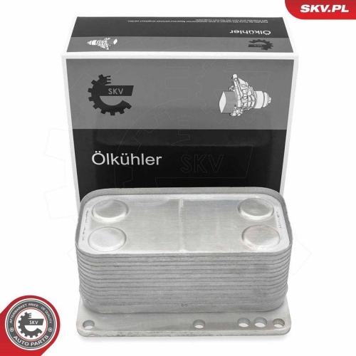 ESEN SKV &Ouml;lk&uuml;hler, Motor&ouml;l 31SKV343