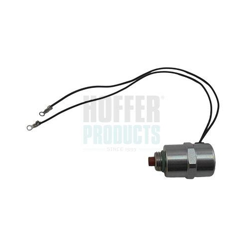 HOFFER Abstellvorrichtung, Einspritzanlage 8029030