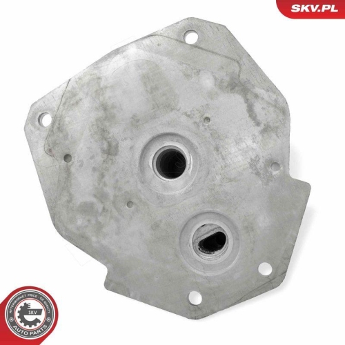ESEN SKV &Ouml;lk&uuml;hler, Motor&ouml;l 31SKV349
