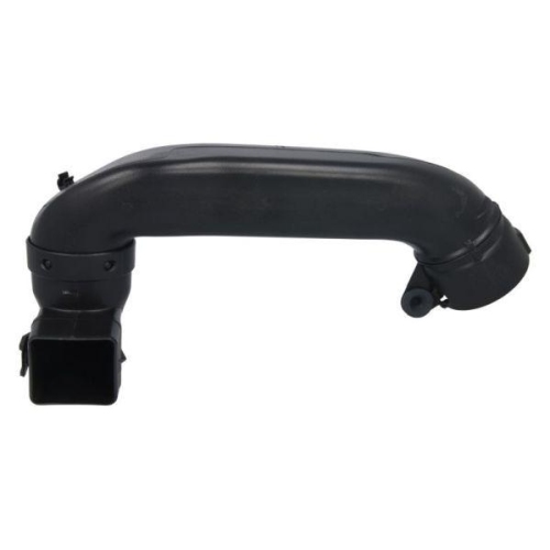 THERMOTEC Ansaugschlauch, Luftfilter DCC066TT