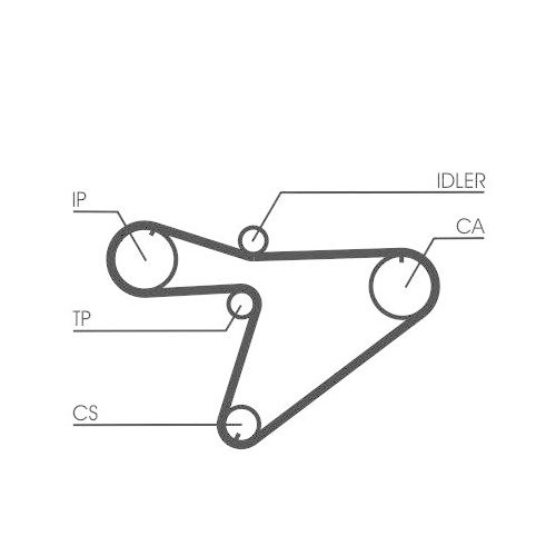 CONTINENTAL CTAM Zahnriemen CT810