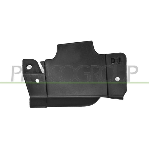PRASCO Spoiler FD3462404