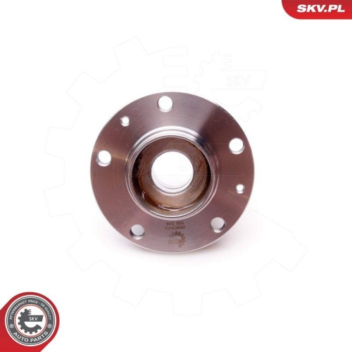 ESEN SKV Radlagersatz 29SKV070