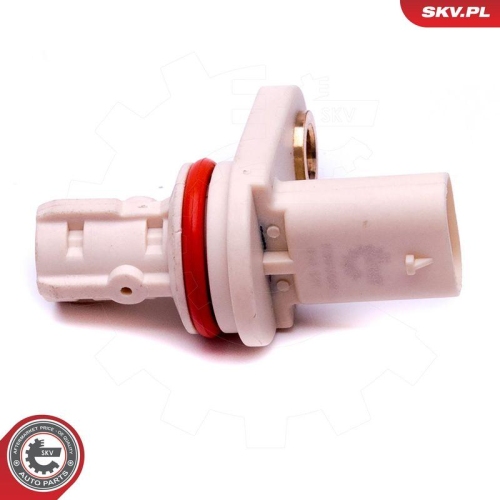 ESEN SKV Sensor, Nockenwellenposition 17SKV497
