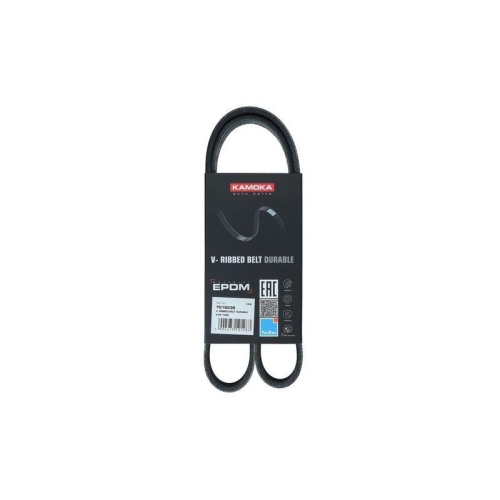 KAMOKA Keilrippenriemen 7016036