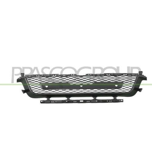 PRASCO L&uuml;ftungsgitter, Sto&szlig;f&auml;nger LR8062130