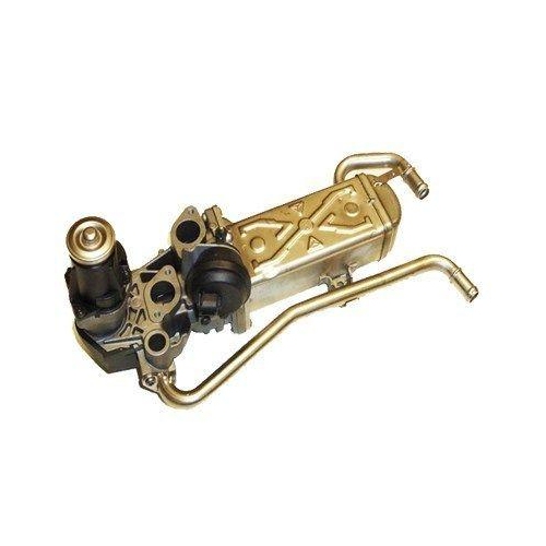 MAGNETI MARELLI AGR-Ventil