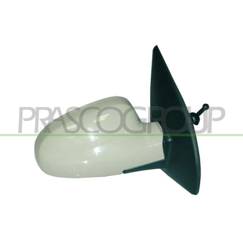 PRASCO Au&szlig;enspiegel DW3267133