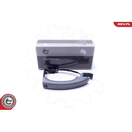 ESEN SKV Türaußengriff