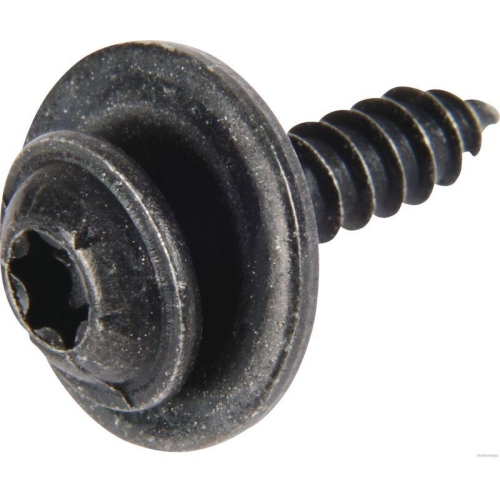 HERTH+BUSS ELPARTS Clip, Zier-/Schutzleiste