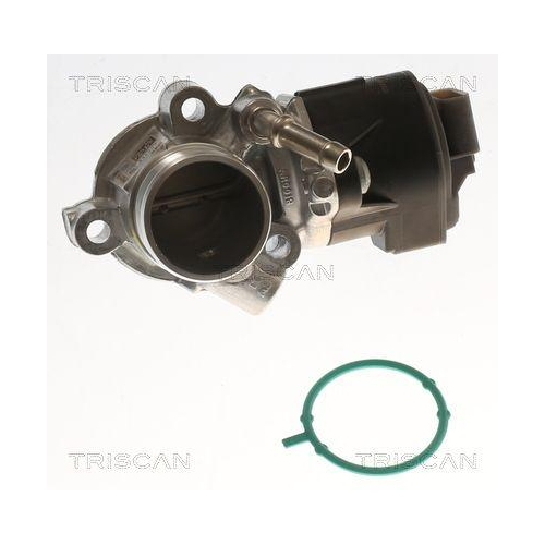 TRISCAN AGR-Ventil 8813 23042