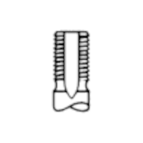 TRW Engine Component Auslassventil 261117