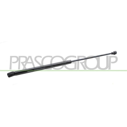 PRASCO Gasfeder, Koffer-/Laderaum VG0219055