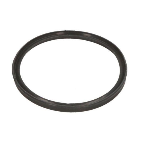 THERMOTEC Dichtring, Ladeluftschlauch DCB086TT