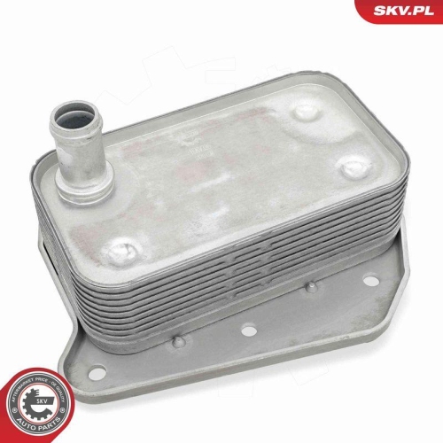 ESEN SKV &Ouml;lk&uuml;hler, Motor&ouml;l 31SKV326