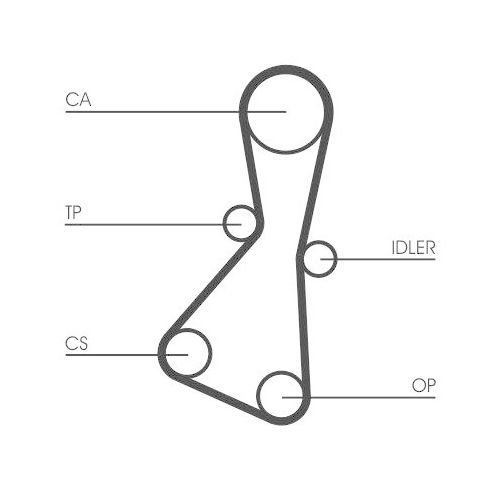 CONTINENTAL CTAM Zahnriemen CT614
