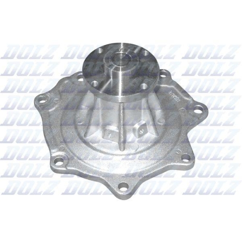 DOLZ Wasserpumpe, Motork&uuml;hlung