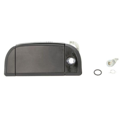 BLIC Türaußengriff 6010-01-013415P