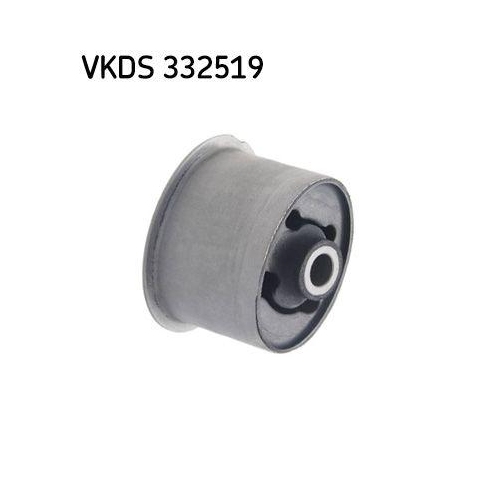 SKF Lagerung, Lenker VKDS 332519