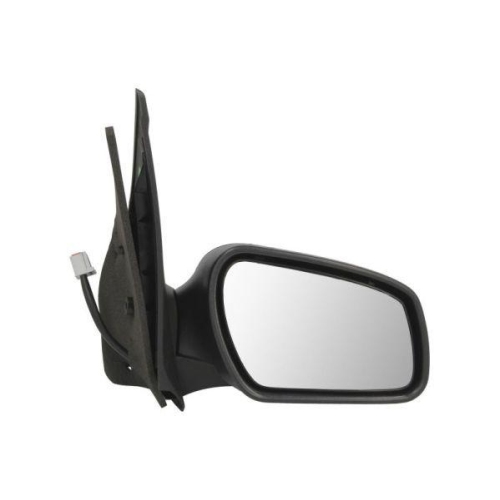 BLIC Au&szlig;enspiegel 5402-04-1121393P