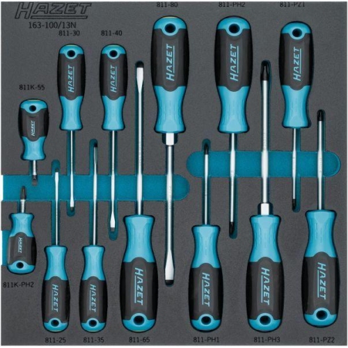 HAZET Schraubendrehersatz 163-100/13N