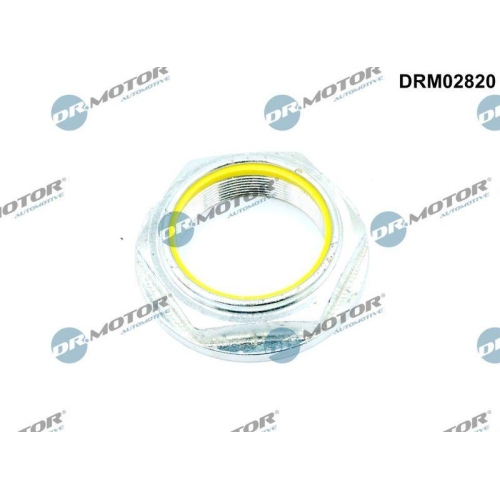 Dr.Motor Automotive Mutter, Achszapfen