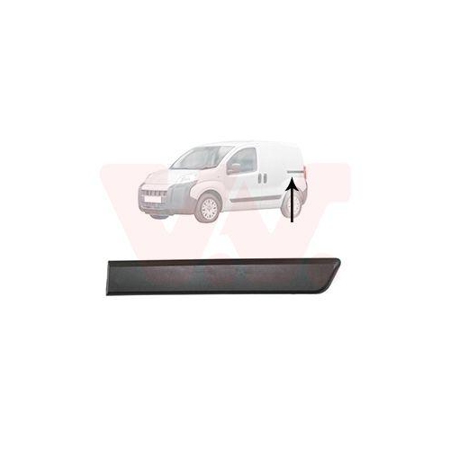 VAN WEZEL Zier-/Schutzleiste, Seitenwand 0976429