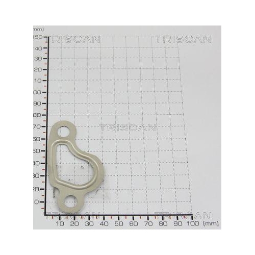 TRISCAN Dichtung 8813 9966
