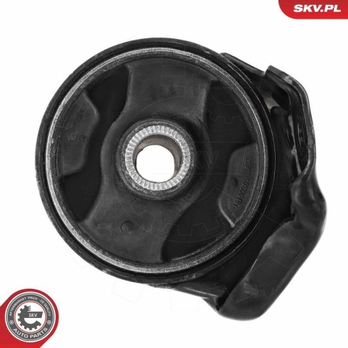 ESEN SKV Lagerung, Motor 75SKV232