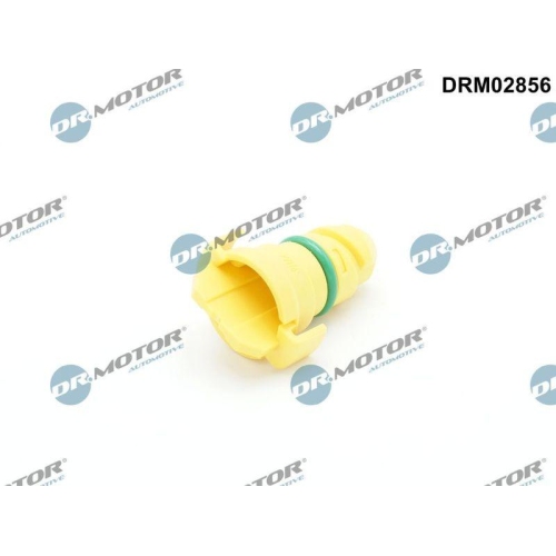 Dr.Motor Automotive Verschlussschraube, &Ouml;lwanne