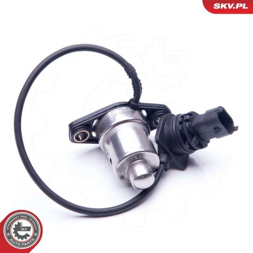 ESEN SKV Sensor, Motor&ouml;lstand 17SKV405