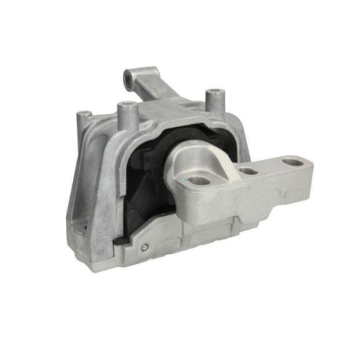 REINHOCH Lagerung, Motor RH11-0060