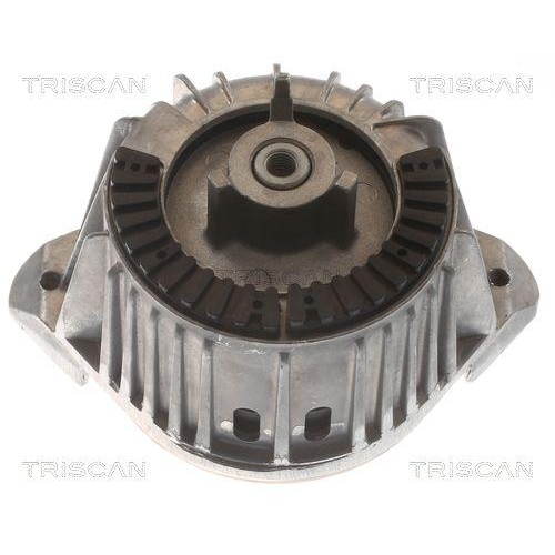 TRISCAN Lagerung, Motor 8505 23107