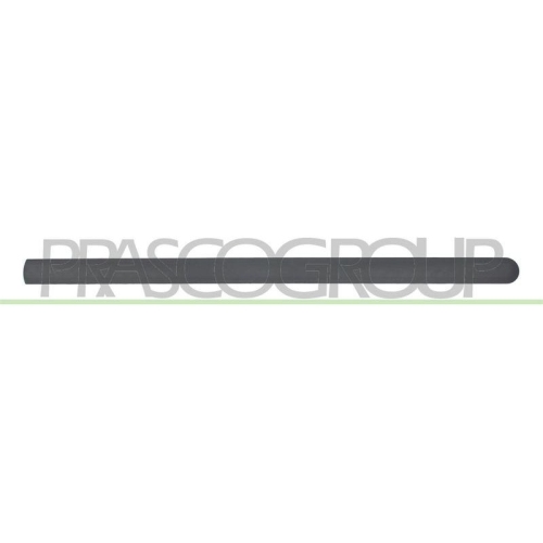 PRASCO Zier-/Schutzleiste, T&uuml;r FD9321403
