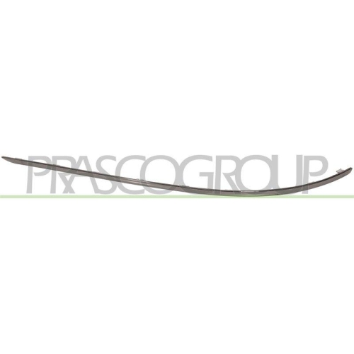 PRASCO Zier-/Schutzleiste, Sto&szlig;f&auml;nger ME0291273