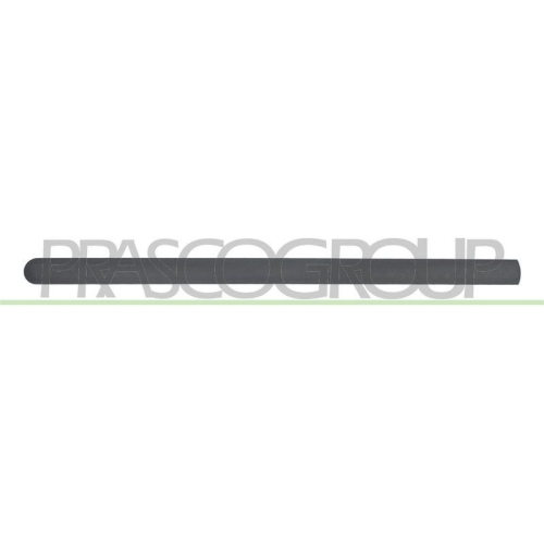 PRASCO Zier-/Schutzleiste, T&uuml;r FD9321404