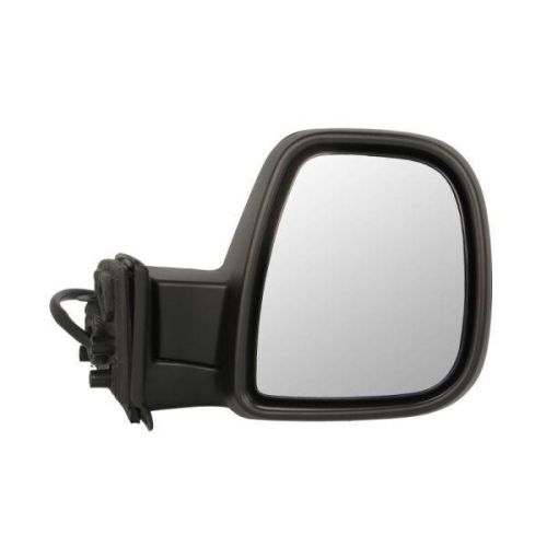 BLIC Außenspiegel 5402-21-2194311P