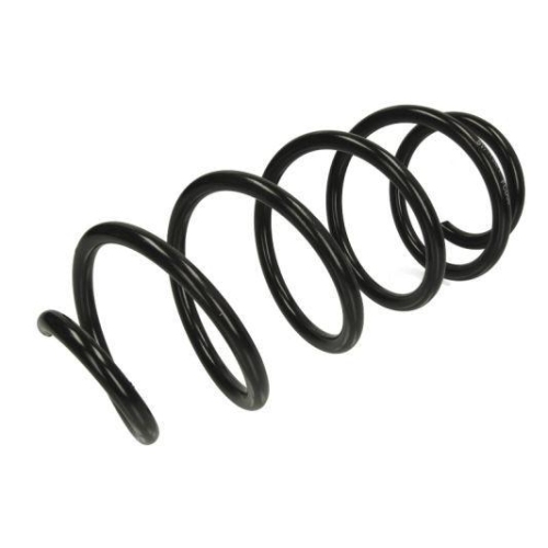 Magnum Technology Fahrwerksfeder SW119MT