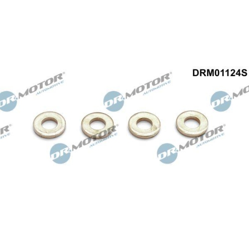 Dr.Motor Automotive W&auml;rmeschutzscheibe, Einspritzanlage DRM01124S