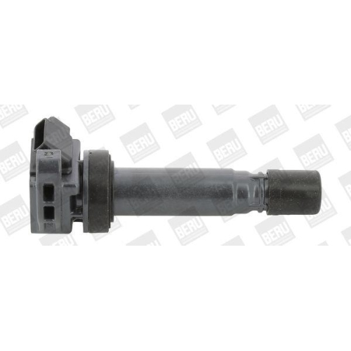BorgWarner (BERU) Z&uuml;ndspule ZSE180