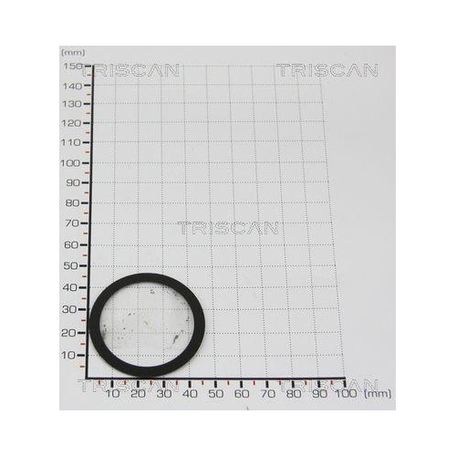 TRISCAN Dichtung 8813 9981
