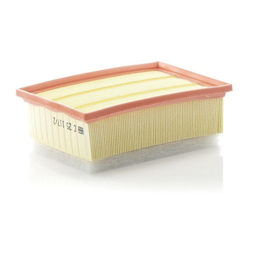 MANN-FILTER Luftfilter C 25 117/2