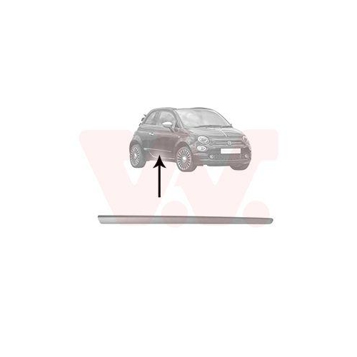 VAN WEZEL Zier-/Schutzleiste, T&uuml;r 1604428