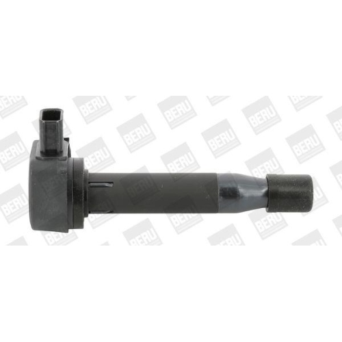 BorgWarner (BERU) Z&uuml;ndspule ZSE183