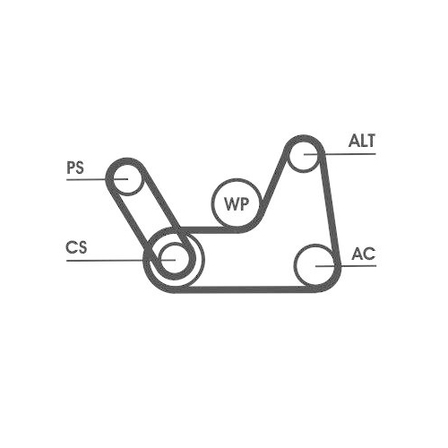 CONTINENTAL CTAM Keilrippenriemensatz 6PK1019 ELAST T1